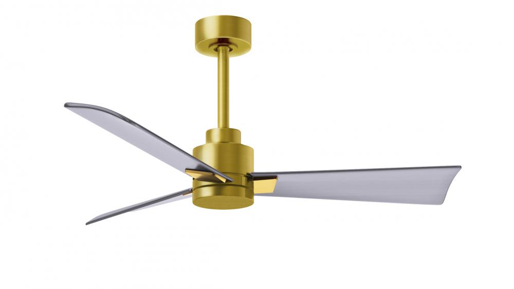 Alessandra-42" Three Blade Transitional Ceiling Fan-Brushed Brass Finish-Brushed Nickel Blades