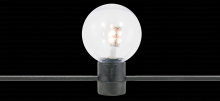American Lighting LFS-12V-1-LED-WW - FESTOON LIGHT STRING- SPECIAL ORDER