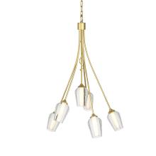 Hubbardton Forge 103043-SKT-86-ZS0354 - Flora 6 Arm Chandelier